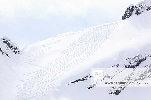 Ski track Watzmann Berchtesgaden Alps Bavaria Germany Europe