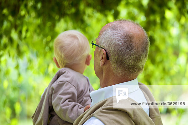 Grandfather carrying toddler outdoors  rear view
