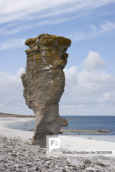 Rauk bei Langhammars auf der Insel Farö Gotland Schweden