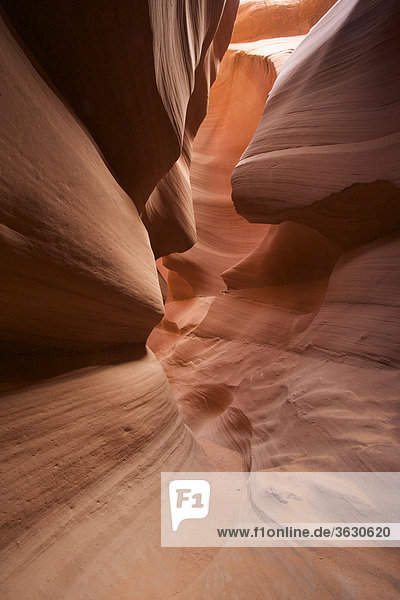 Antelope Canyon  Arizona  USA