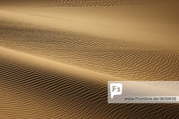Wüstenlandschaft mit Sanddünen  Libysche Wüste  Ägypten