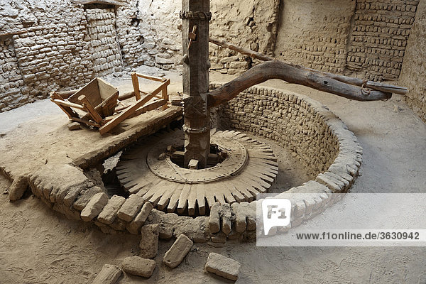 Mühle in der Altstadt Al-Qasr  Oase Dachla  Libysche Wüste  Ägypten