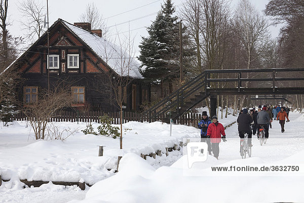 Der Spreewald im Winter mit zugefrorenen Kanälen  Spree in Brandenburg  Deutschland  Europa