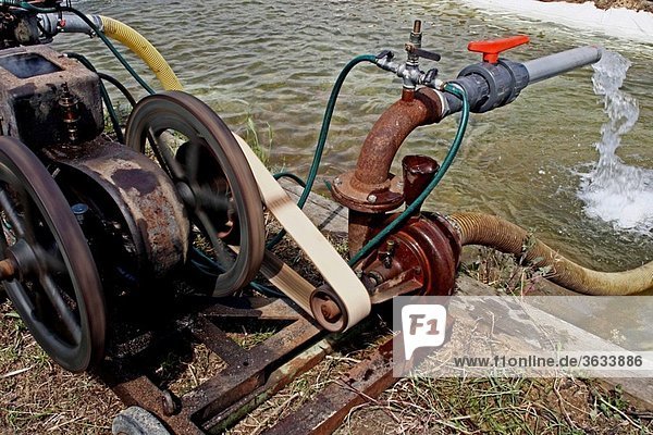 Water pump  motor.