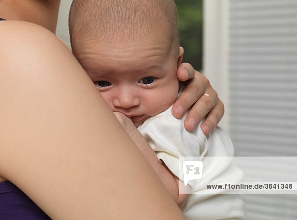 Mother holding a six week old cute baby boy on her hands
