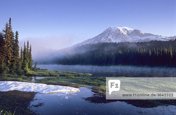 Mount Rainier  Washington  USA
