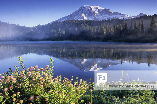 Mount Rainier und Mirror Lake  Washington  USA