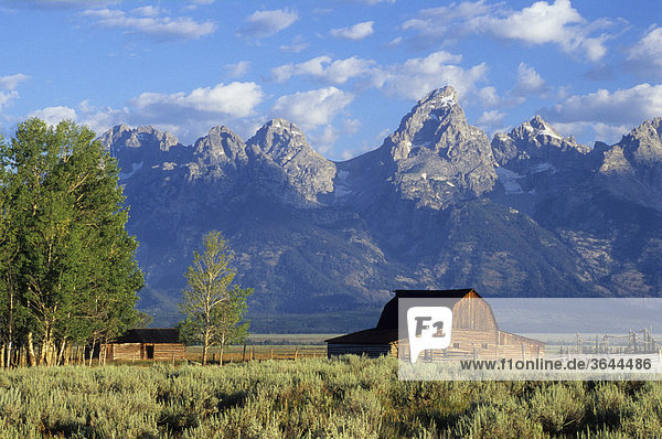 Old farm in front of the Grand Tetons mountains Wyoming USA