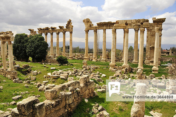 Römische Torbögen  UNESCO-Weltkulturerbe  Baalbek  Beqaa-Ebene  Libanon  Naher Osten  Orient