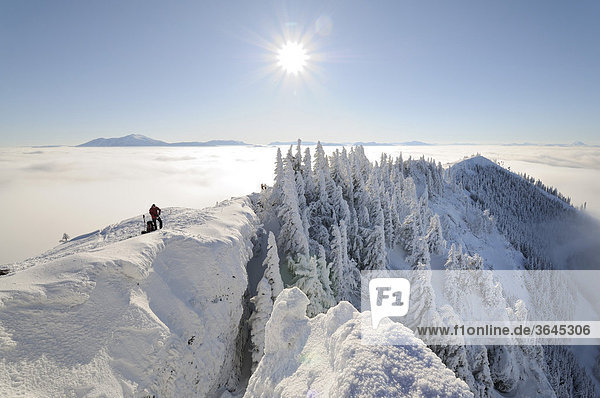 View from the summit of Mt. Unterberg to the west  Lower Austria  Austria  Europe