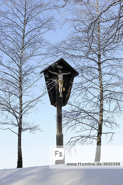 Christuskreuz bei Holzhausen am Starnberger See  Oberbayern  Bayern  Deutschland  Europa