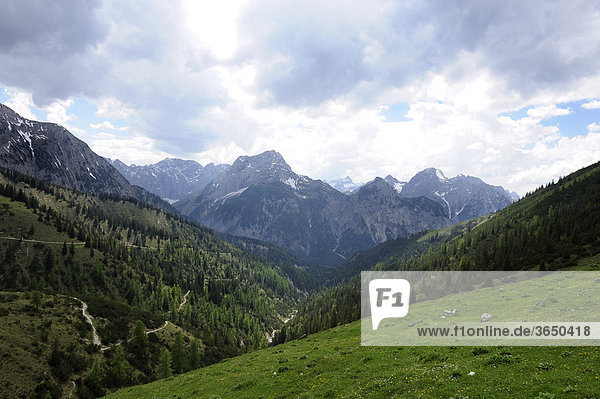 Blick vom Plumsjoch auf das Karwendelgebirge  Rißbachtal  Tirol  Österreich  Europa