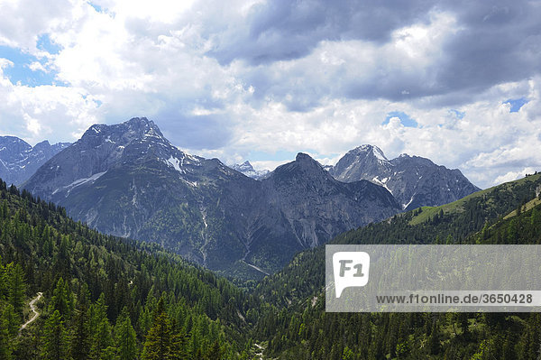 Blick vom Plumsjoch auf das Karwendelgebirge  Rissbachtal  Tirol  Österreich  Europa