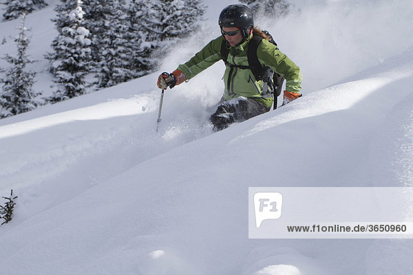 Skier in powder snow  Salzburg  Austria  Europe