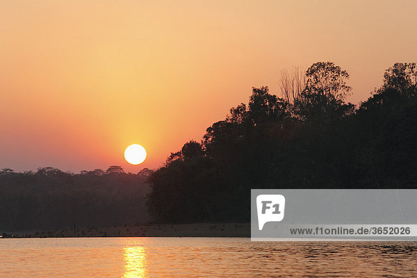 Sonnenuntergang  Kabini Reservoir  Rajiv Gandhi National Park  Nagarhole Nationalpark  Karnataka  Südindien  Indien  Südasien  Asien