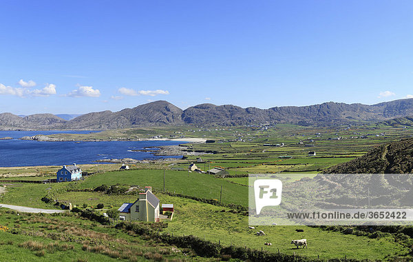 Ballydonogan Bay  Küstenlandschaft nahe Allihies  Beara-Halbinsel  County Cork  Irland  Britische Inseln  Europa
