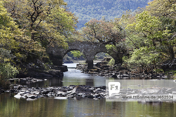 Old Weir Bridge  Meeting of the Waters  Killarney Nationalpark  County Kerry  Irland  Britische Inseln  Europa
