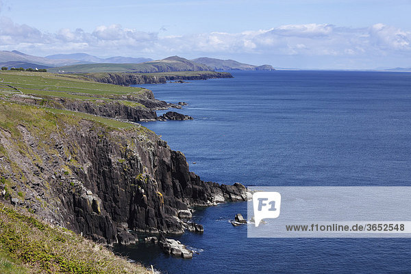 Steilküste am Slea Head  Dingle Halbinsel  County Kerry  Irland  Britische Inseln  Europa