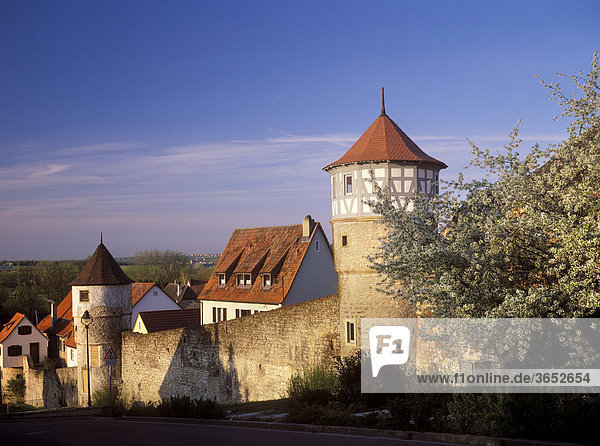 Stadtmauer  Dettelbach  Unterfranken  Franken  Bayern  Deutschland  Europa