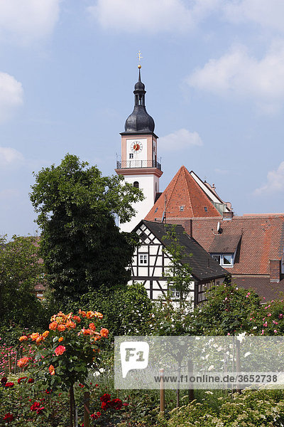 Kirche und Rosengarten  Hilpoltstein  Mittelfranken  Franken  Bayern  Deutschland  Europa