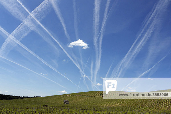 Kondensstreifen am blauen Himmel über dem Weinanbaugebiet Rauenthal  Rheingau  Hessen  Deutschland  Europa