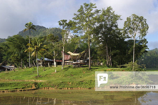 Ke'te Kesu' Dorf mit traditionellen Toraja-Häusern  in der Nähe von Rantepao  Sulawesi  Indonesien  Südostasien