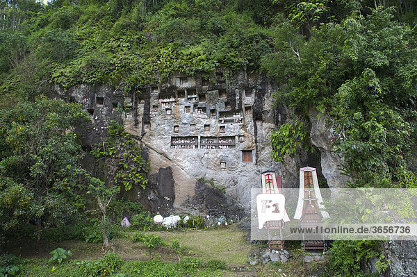 Felsengräber und Ahnengalerie der Toraja in Lemo  in der Nähe von Rantepao  Sulawesi  Indonesien  Südostasien