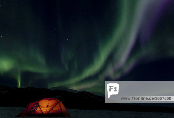 Beleuchtetes Expeditionszelt mit traditionellen hölzernen Schneeschuhen  Nord- oder Polarlicht  Aurora Borealis  grün  blau und violett  in der Nähe von Whitehorse  Yukon Territory  Kanada  Nordamerika
