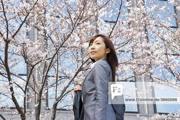 Businesswoman standing under cherry blossom tree
