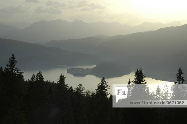 Gebirgslandschaft Nadelwald vor See und Gebirgszug im Gegenlicht Jochberg am Walchensee Oberbayern