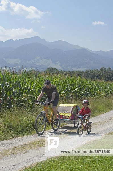 In the Inn Valley south of Rosenheim Bavaria Germany father is cycling with his child