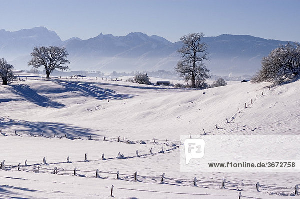 Winterlandschaft bei Aidling am Riegsee Oberbayern Deutschland