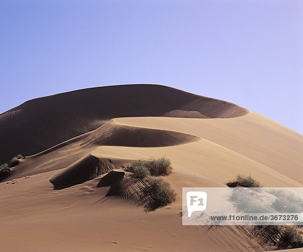 Sanddünen - Sossusvlei - Namibwüste - Namibia