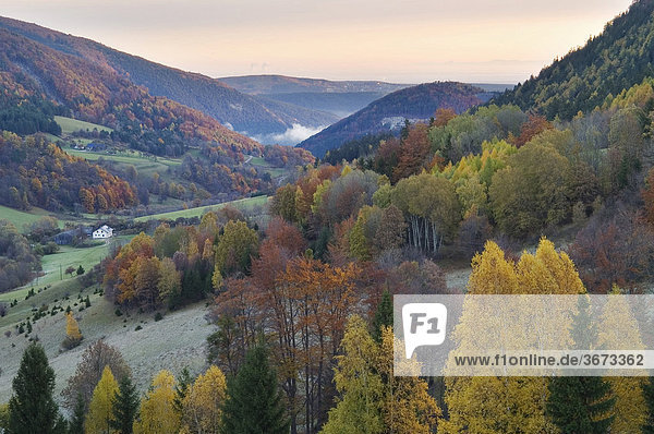 Herbstliches Dürnbachtal bei Sonnenaufgang Niederösterreich