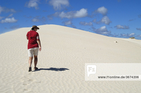 Sanddünen in Little Sahara auf der Känguru Insel Südaustralien Australien
