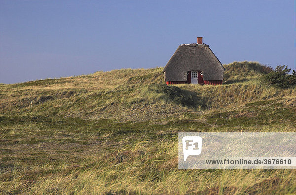 Einsam gelegenes  altes Sommerhaus in den Dünen am Limfjord in Dänemark