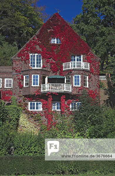 Mit herbstlichen Weinlaub bedeckte Villa an der Elbe bei Blankenese in Hamburg