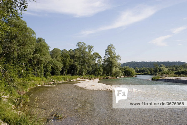 Isar river Geretsried Upper Bavaria Germany