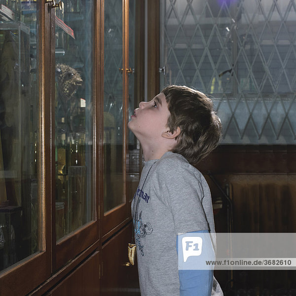 Boy looking at glass cabinets