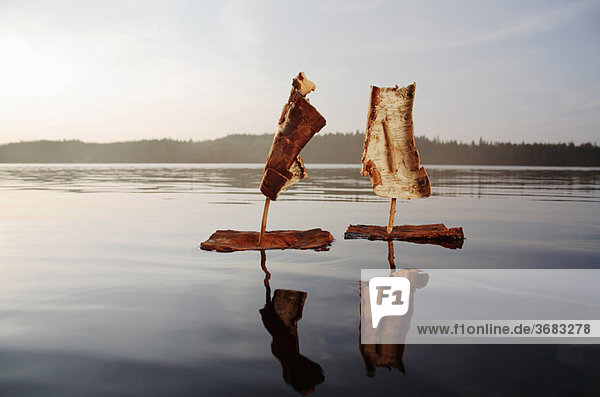 Two bark boats on a lake at sunset