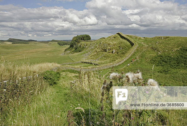 Thorngrafton  GBR  19. Aug. 2005 - Ruins of the Hadrians Wall nearby the ruins of Housesteads Fort nearby Thorngrafton in Norththumberland.