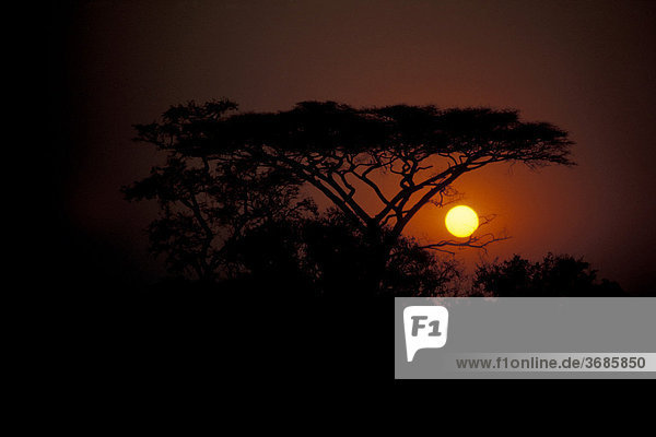 Sonnenuntergang Okovango Delta Botswana
