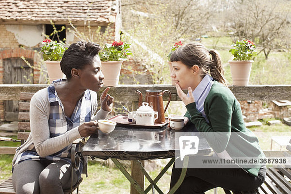Two women having coffee and gossiping