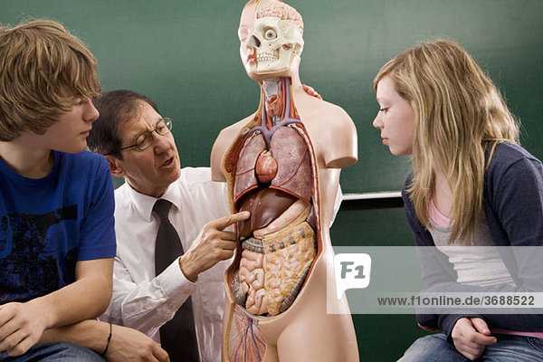 Ein Biologielehrer  der den Schülern Anatomie beibringt.