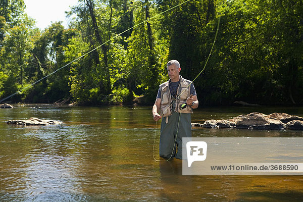 Ein Mann beim Fliegenfischen in einem Fluss  North Carolina  USA