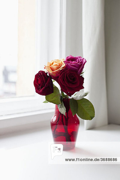 Rosen in einer Vase auf einer Fensterbank