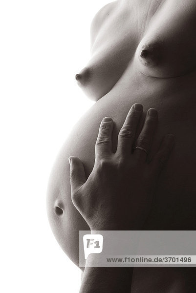 Frau  schwanger  Bauch  Hand  berühren