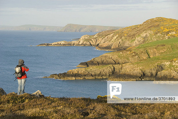 Hiker looking at the shore  viewpoint  Pembrokeshire  Wales  United Kingdom  Europe