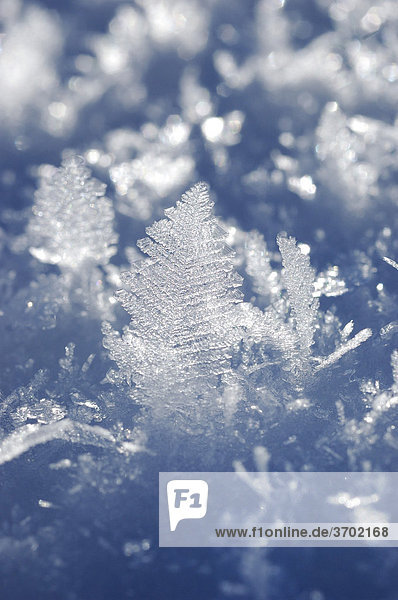 Eiskristalle Schnee Detail
