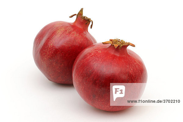 Pomegranates (Punica granatum)